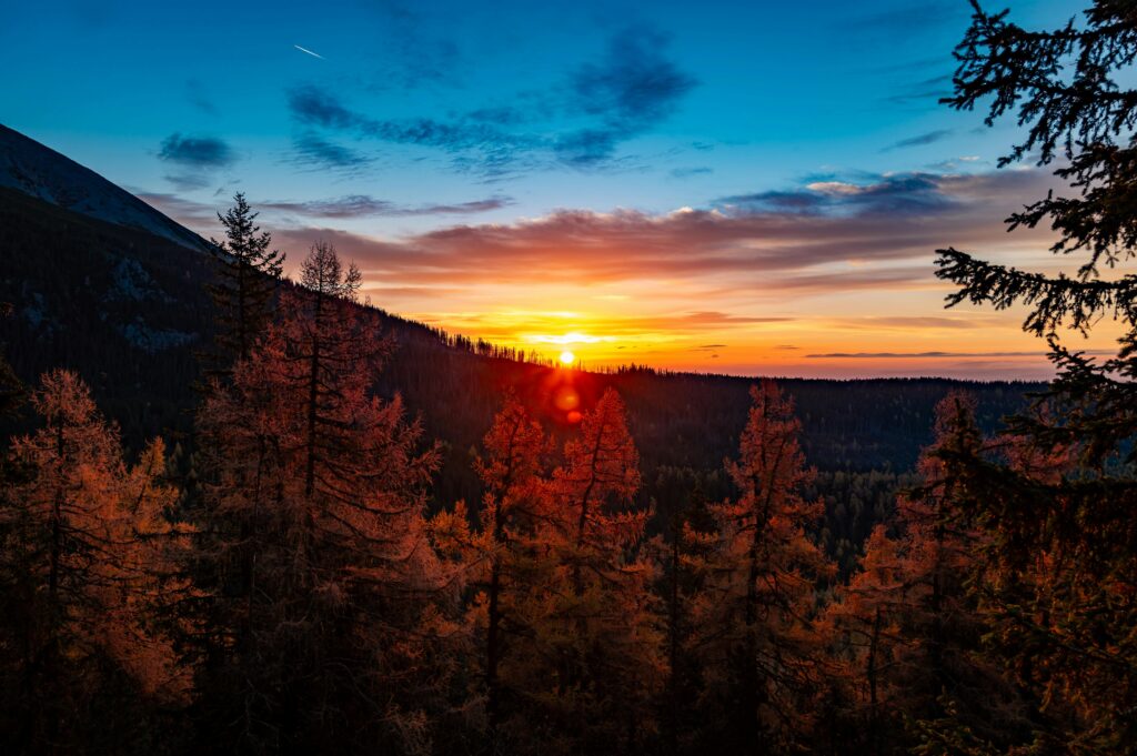 pexels photo 29678804 29678804 Stunning sunrise view over autumn forest in Vysoké Tatry, Slovakia.